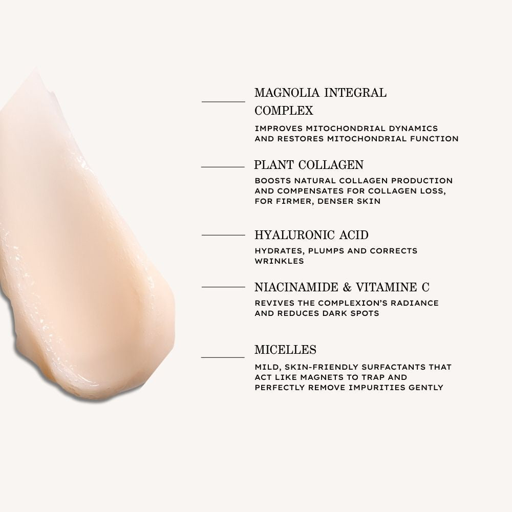 Payot- Supreme Absolu Youthful Foam Gel