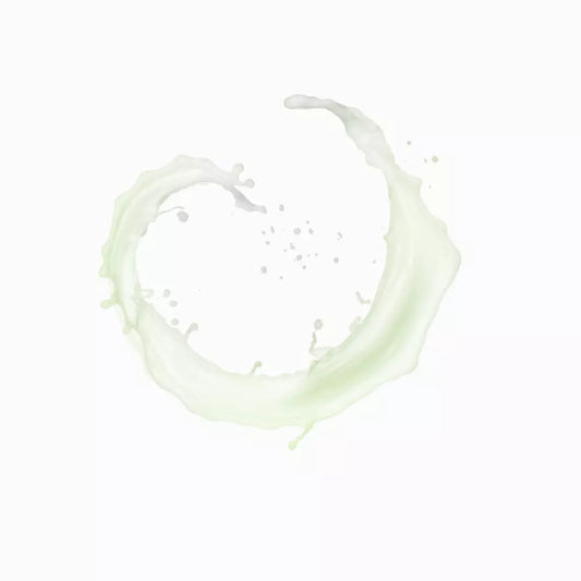 Payot - PÂTE GRISE Mattifying Bi-Phase Powder Lotion 125ML